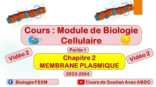 Biologie Cellulaire BCG S1  Partie de la membrane plasmique vidéo 2 [upl. by Ailyt233]