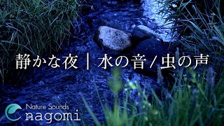 【環境音ASMR】水の音・虫の声｜静かな夜の虫の声・優しい水の音｜睡眠・リラックス｜自然環境音・Nature Sounds [upl. by Atiekahs]