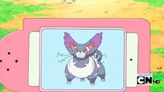 Purugly Pokédex Entrywmv [upl. by Eesac217]