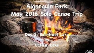 Algonquin Park Solo Canoe Camping Trip Day 3 Burntroot to Catfish Lake [upl. by Nhtanhoj]