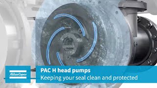 Atlas Copco PAC H head pumps keeping your seal clean and protected [upl. by Eresed]