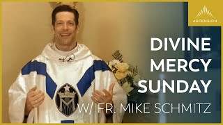 Divine Mercy Sunday  LIVE Mass with Fr Mike Schmitz [upl. by Acinelav]