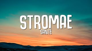 Stromae  Santé Paroles  Lyrics [upl. by Scornik]