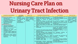 NCP 23 Nursing care Plan on Urinary Tract Infection UTI Genitourinary Disorders [upl. by Airehtfele]