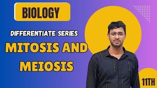 Difference Between Mitosis And Meiosis  Class 8th9th11th  Comparision Series [upl. by Newfeld606]