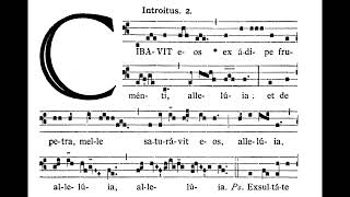 Corpus Christi INTROIT Cibávit eos solfeggio [upl. by Lefton]