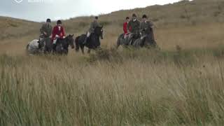 Deer hunt filmed chasing and whipping a stag [upl. by Berta729]