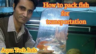 194 How to pack fish for transportation [upl. by Haletky]