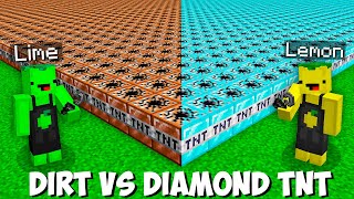 What if you LIGHT 1000 DIAMOND TNT VS 1000 DIRT TNT in Minecraft  LEMON VS LIME TNT BATTLE [upl. by Nadbus]