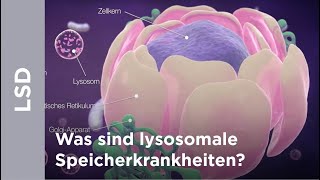 Was sind lysosomale Speicherkrankheiten LSDs [upl. by Psyche]