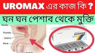 Uromax এর কাজ কি  ঘন ঘন পেশাব হওয়ার কারন কি  Uromax Details Medicine Review [upl. by Dyson253]