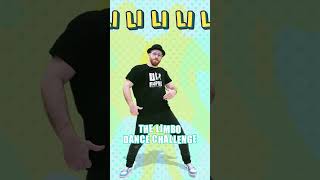 🔥 The Limbo Dance Challenge is here 🔥LimboDanceChallenge DJRaphi DanceParty [upl. by Aneroc918]