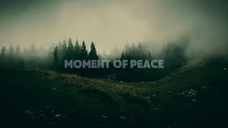 Moment of peace  Free music  No copyrights  Manifesting music  2024 [upl. by Uda]