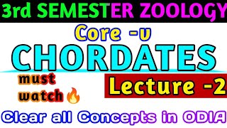 🎯for 2 amp 3rd SemesterCOREVLARVAL FORMS OF PROTOCHORDATES 💯  Full Concept Clear ବୁଝନ୍ତୁ ଓଡିଆରେ🔥 [upl. by Wilkie]