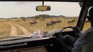 Serengeti The Great Migration [upl. by Atirrehs663]