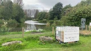 Lewden springs fishery worsborough Barnsley [upl. by Eitac]