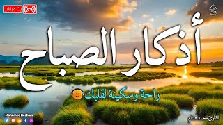 اذكار الصباح بصوت جميل هادئ مريح للقلب 💚 إذا قلته كفاك الله ورزقك من حيث لا تحتسب  محمد هشام [upl. by Setarcos]