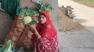 PUJA PRITAM VLOGS is live bahut achcha video hai [upl. by Youngran501]