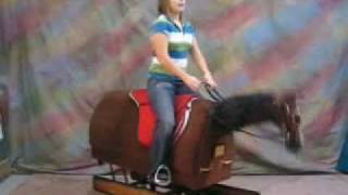 Kates Equestrian Exercises Part 2 Posting Trot exercise on the Equicizer [upl. by Esorlatsyrc]