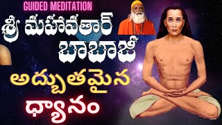 Mahavatar Babaji guided meditation by VedaAnanda Babaji [upl. by Notlih]