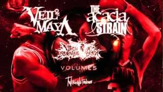 VEIL OF MAYA  The Acacia Strain Tour Trailer [upl. by Prudhoe]