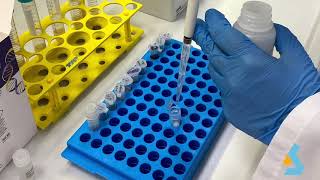 02  DNA Isolation from bacterial culture [upl. by Arehahs294]