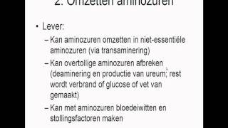 Biologie  Functies van de lever [upl. by Arbed]