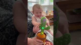 Baby Ziggy’s hysterical laugh with viral cactus toy babyfunny babygiggles baby family [upl. by Ytsihc]