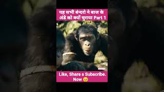 Kingdom Of The Planet Of The Apes Movie Explain In Hindi 2024 ytshort movie hollywood [upl. by Atirb]