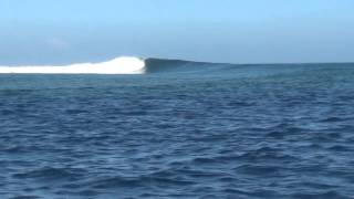 Surfing Frigates in Fiji  Waidroka Bay Resort [upl. by Erie]