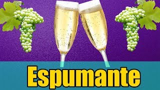 Como fazer EspumanteChampagne  22  Degustação [upl. by Cid]