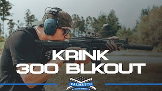 The 300 Blackout Krink  Everything You Need to Know  Palmetto State Armory [upl. by Beisel331]