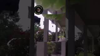 Benefits of doorbell camera [upl. by Granger]