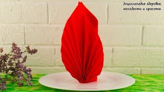 Как БЫСТРО и КРАСИВО Сложить САЛФЕТКИ Сервировка стола салфетками NAPKIN FOLDING [upl. by Olgnaed]