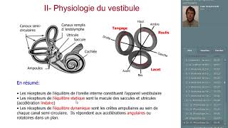 le système vestibulaire [upl. by Gylys]