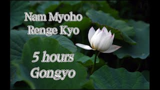 5h Nam Myoho Renge Kyo  MIRACLE Very Fast Gongyo [upl. by Ludwigg]