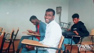 Law students Assosa universityEthiopia [upl. by Zealand]