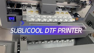 How about the High Quality DTF Printer Machine For Tshirt Produce Company [upl. by Shawna]