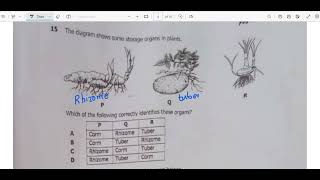 Biology paper 1 2023 GCE Q11 to Q20 [upl. by Ahselyt]