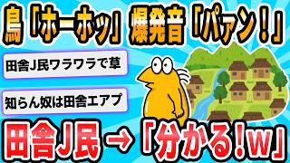 【2ch面白いスレ】謎鳥「ホーホッ」謎爆発音「パァン！」謎草刈り機「ブイイイィィィンﾝ」 [upl. by Gore]