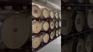 Visita a Bodegas Baigorri en Rioja Alavesa [upl. by Aramit]