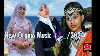 New Oromo Music Elemoo Abdushakuur 2024 [upl. by Carolle]