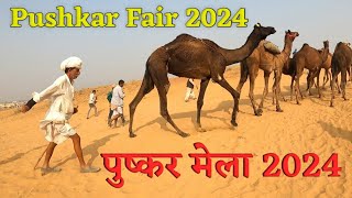 Pushkar Fair 2024 Full Video [upl. by Edelstein]