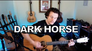 Dark Horse  Amanda Marshall acoustic cover [upl. by Podvin81]