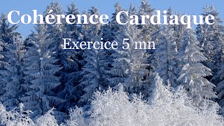 coherence cardiaque exercices 5 mn 6 respirationsmn [upl. by Aserahs]