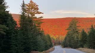 New England Fall Foliage Chain Of Ponds Maine 10022023 [upl. by Ardnuasac402]