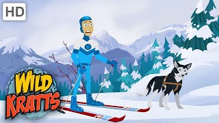 Wild Kratts  Mountain RACE  NATURE [upl. by Eiro]