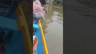 Kerala mangrove fishing🦈💥villagefishing traditionalfishing Keralafishing fishing fishing [upl. by Yellac]