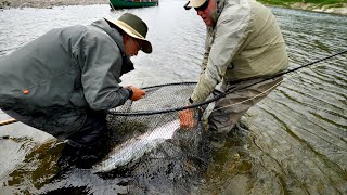 Restigouche River Salmon [upl. by Yblok438]