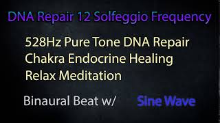 528Hz DNA Repair and 12 Solfeggio Frequency [upl. by Ecerahs269]